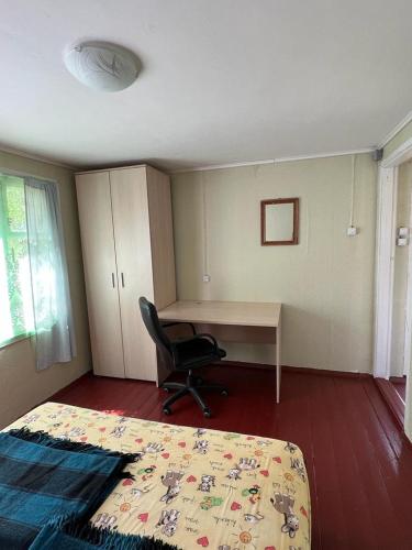 a bedroom with a bed and a desk and a chair at База відпочинку Енергія in Rudnya Peskovskaya