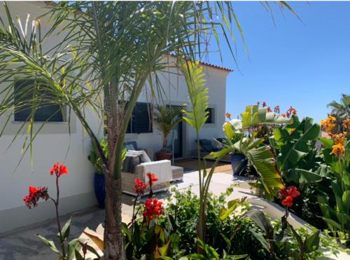 a garden with flowers and plants in front of a house at A Beira Do Vale, Carvoeiro in Carvoeiro