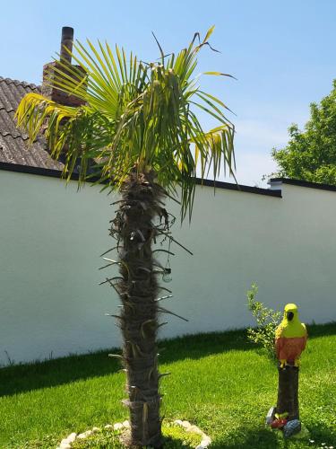 a palm tree and a bird sitting next to a plant at Vila Jovana in Vrdnik