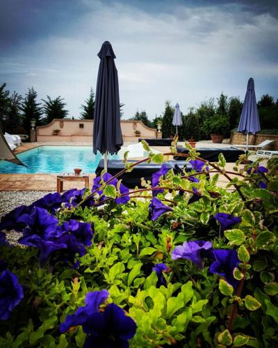 a swimming pool with purple flowers and umbrellas at Relais Il Margarito in Montefano