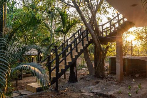 Jardín al aire libre en Adventure Inn Dandeli