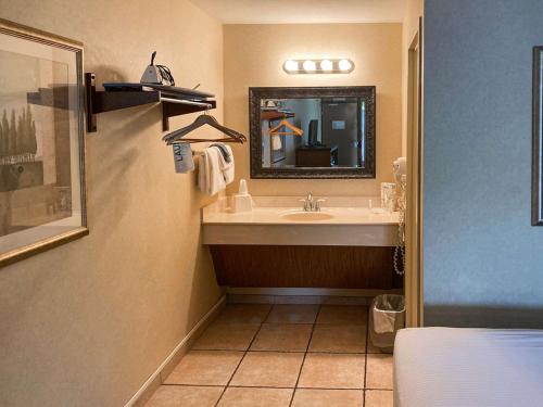 a bathroom with a sink and a mirror at The Boardwalk Inn in Branson
