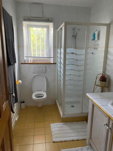 uma pequena casa de banho com chuveiro e WC em Studio bord de piscine em Sérignan-du-Comtat