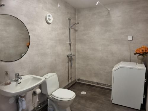 a bathroom with a toilet and a sink and a mirror at dala källebacka in Stenstorp