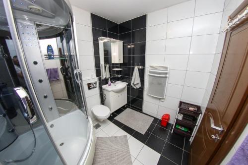 un piccolo bagno con servizi igienici e lavandino di Apartments Cyrano 1&2 a Sarajevo