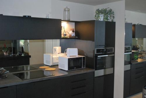 uma cozinha com micro-ondas e electrodomésticos num balcão em Casa del Sol em Arles