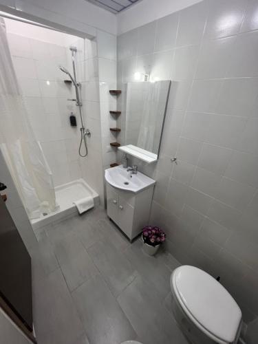ein Bad mit einem WC, einem Waschbecken und einer Dusche in der Unterkunft La torre house in Civitavecchia