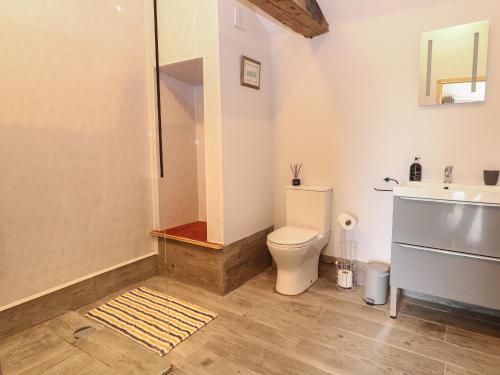a bathroom with a shower and a toilet and a sink at Bee Happy Barn in Norwich