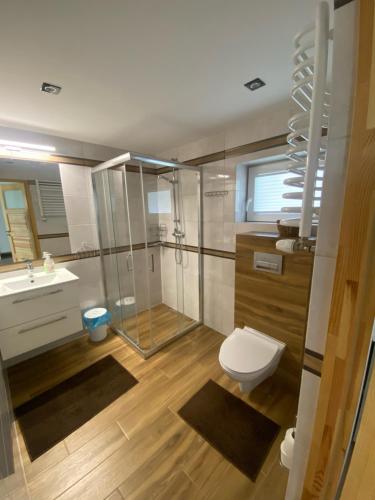 a bathroom with a shower and a toilet and a sink at Nad Doliną Krutyni in Ukta