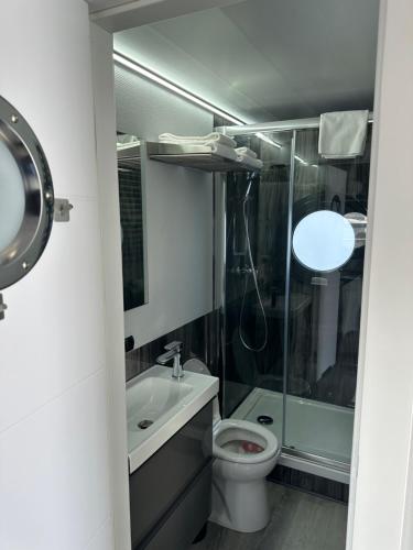 een badkamer met een douche, een toilet en een wastafel bij Stoere HOUSEBOAT op toplocatie! in Belt-Schutsloot