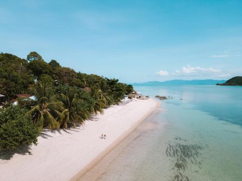 an empty beach with palm trees and the ocean at Kupu Kupu Phangan Beach Villas & Spa by L'Occitane - SHA Plus in Haad Pleayleam