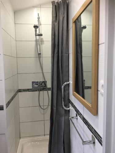 La salle de bains est pourvue d'une douche avec un miroir et un lavabo. dans l'établissement Mon petit coin de paradis, à Solliès-Pont