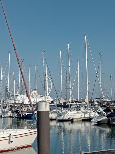 a group of boats docked in a marina at Beautiful Marina Apartment with private garden, flexible bedrooms with zip & link beds in Gosport