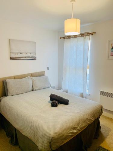 a bedroom with a large bed with a black object on it at Victoria Rooms in Manchester