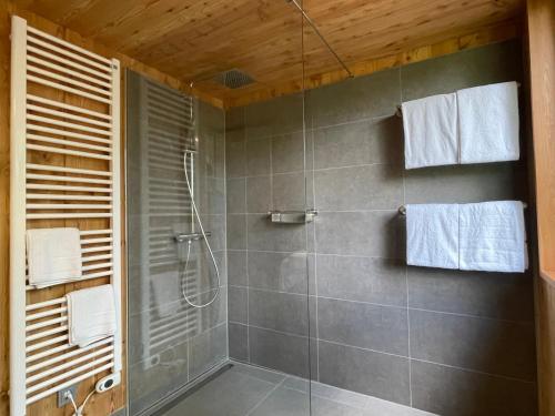 a bathroom with a shower with a glass shower stall at Baumwipfelhaus in Annweiler am Trifels