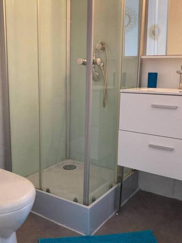 une salle de bain avec douche et toilettes dans l'établissement 013 - Cosy Studio, Place Comédie Gare St Roch, à Montpellier