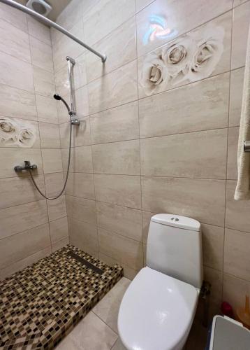 a bathroom with a toilet and a shower with skulls on the wall at Apartments Arcadia VIP in Odesa