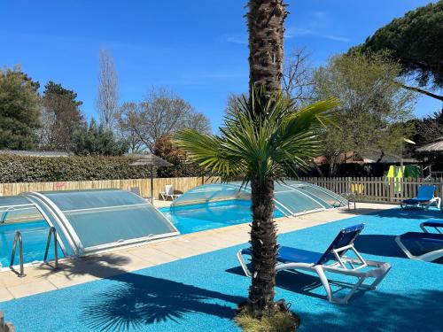 a palm tree and a chair next to a swimming pool at Mobile home Premium 24m² 2 chambres in Arès