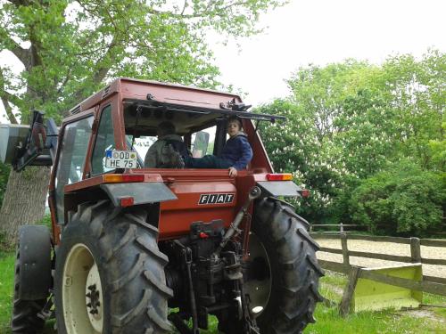 a woman driving a red tractor in a field at Ländliches HideAway zwischen Hamburg und Lübeck in Köthel