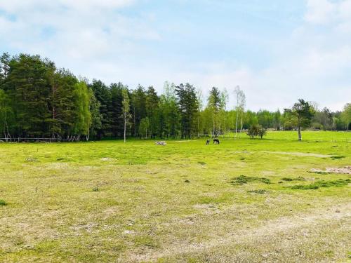 a field with horses grazing in a field with trees at 3 person holiday home in Berga-By Traum in Berga