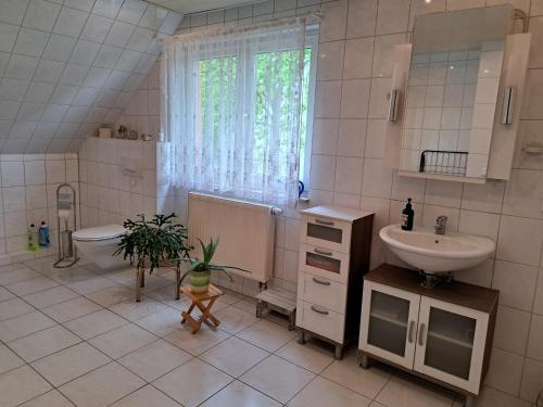 La salle de bains est pourvue d'un lavabo, de toilettes et d'une fenêtre. dans l'établissement FWO Marlies 1a, à Monplaisir