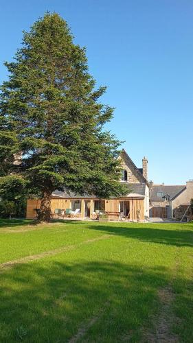 un grand arbre au milieu d'un champ avec une maison dans l'établissement Kermaria- Maison 10 pers - 4km Mer - Paimpol-Treguier, à Pleumeur-Gautier