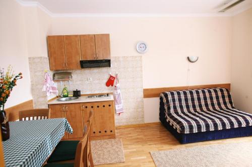 a living room with a couch and a kitchen at Trim Apartments in Zlatibor