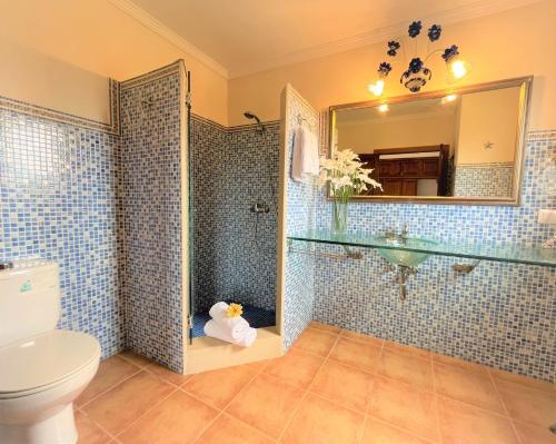 bagno con servizi igienici, lavandino e specchio di Ideal Property Mallorca - Can Rius a Muro
