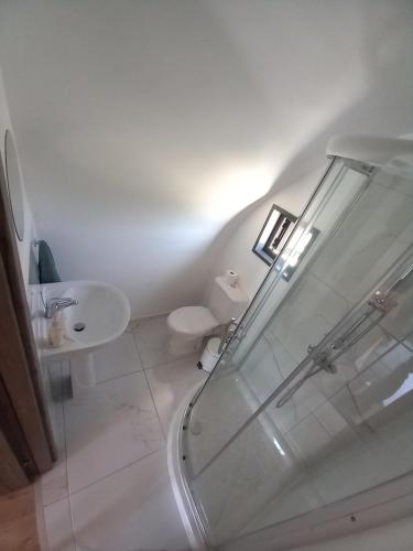 a bathroom with a shower and a toilet and a sink at Glamping Pod in Prodhromi
