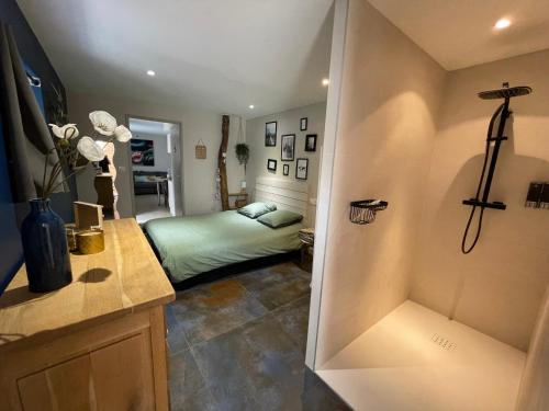 a bedroom with a bed and a bathroom with a shower at Appartement cosy au coeur du Beaujolais in Saint-Lager
