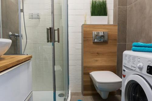 a bathroom with a toilet and a washing machine at Przytulne studio w centrum Starego Miasta in Bydgoszcz