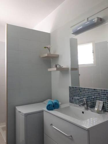 a white bathroom with a sink and a mirror at Perle de l'Alamanda in Belle-Allée