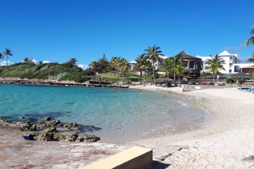 a beach with palm trees and the blue water at Perle de l'Alamanda in Belle-Allée