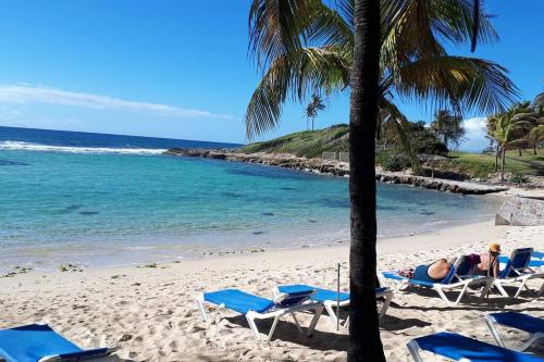 a beach with chairs and palm trees and the ocean at Perle de l'Alamanda in Belle-Allée