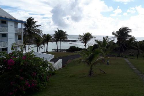 a view of a house and the ocean with palm trees at Perle de l'Alamanda in Belle-Allée