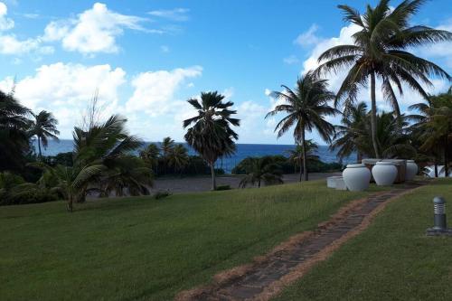 a grassy field with palm trees and the ocean at Perle de l'Alamanda in Belle-Allée