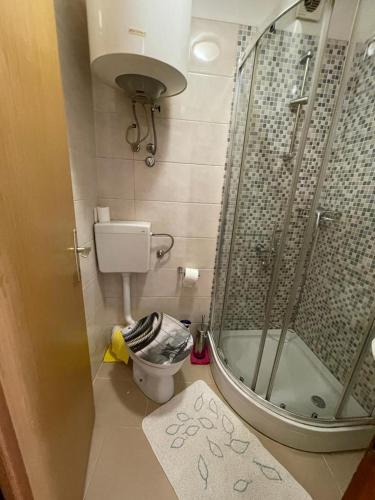 a bathroom with a shower and a toilet at Đana in Cres