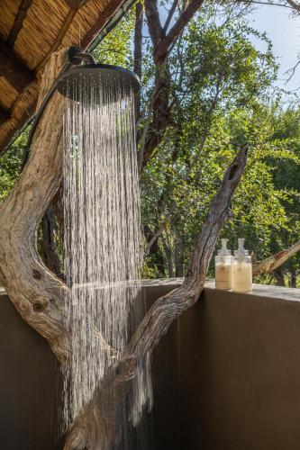 a water fountain in front of a tree at Ukanyi Luxury Villa in Hoedspruit