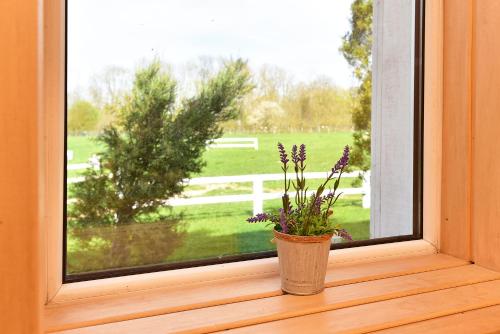 Jardín al aire libre en Cozy stay by Kaunas vila 9Vėjai
