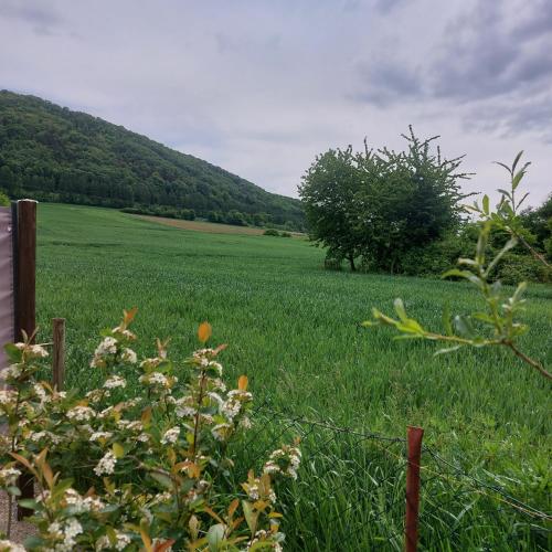 Φυσικό τοπίο κοντά σε αυτό το διαμέρισμα