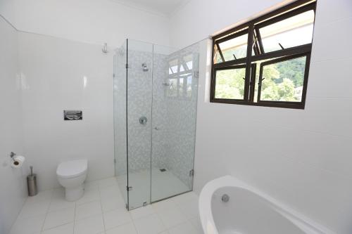 a bathroom with a shower and a toilet and a window at La Vue in Beau Vallon