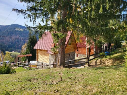 ein Haus auf einem Hügel mit einem Baum in der Unterkunft Weekend house Lokve - Modern in Berane