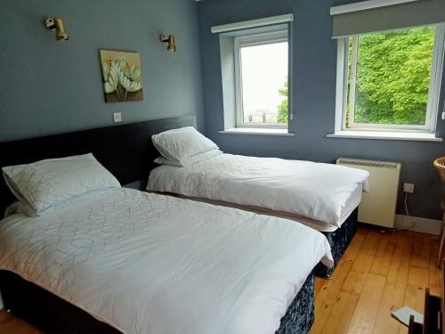 2 camas en una habitación con 2 ventanas en Sunnyside View Apartment -modern & cosy apartment with magnificent views to match, en Youghal
