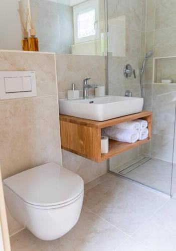 a bathroom with a toilet and a sink at Tiny Eko House Bovec in Bovec