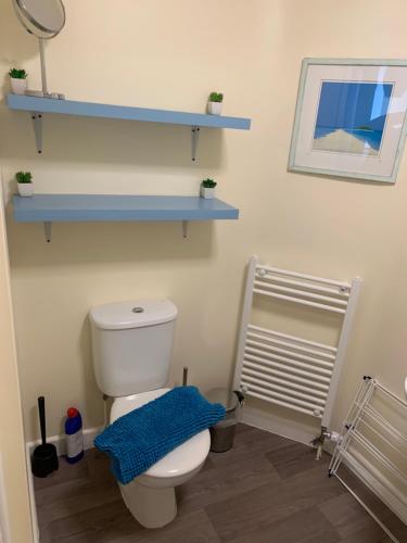 a bathroom with a white toilet and blue shelves at Amazing sea views ,brilliant location Apartment in Weymouth