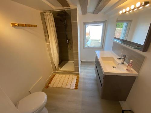 a bathroom with a shower and a sink and a toilet at Le Petit Chez Nous - Cœur de village historique classé - Fibre Wi fi in Montieramey