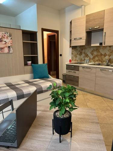 a living room with a couch and a pot with a plant at Siena Fox In in Siena
