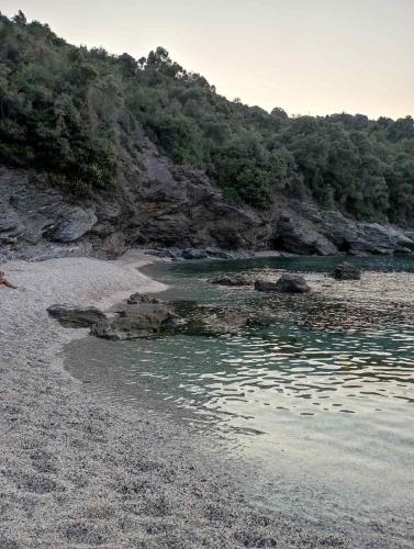 a rocky beach with water and trees in the background at Beautiful Pelion Guesthouse with Spectacular Views in Anilio Pelion