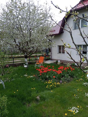 a yard with flowers in front of a house at Căsuța Bunicilor in Dorna Cîndrenilor