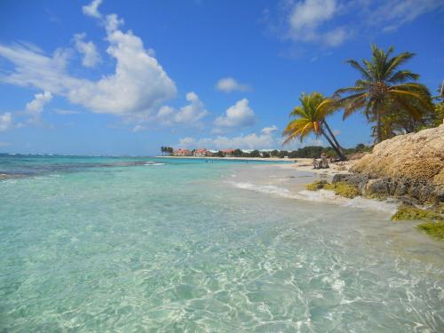 a beach with two palm trees and the ocean at Villa BLUE in Saint-François